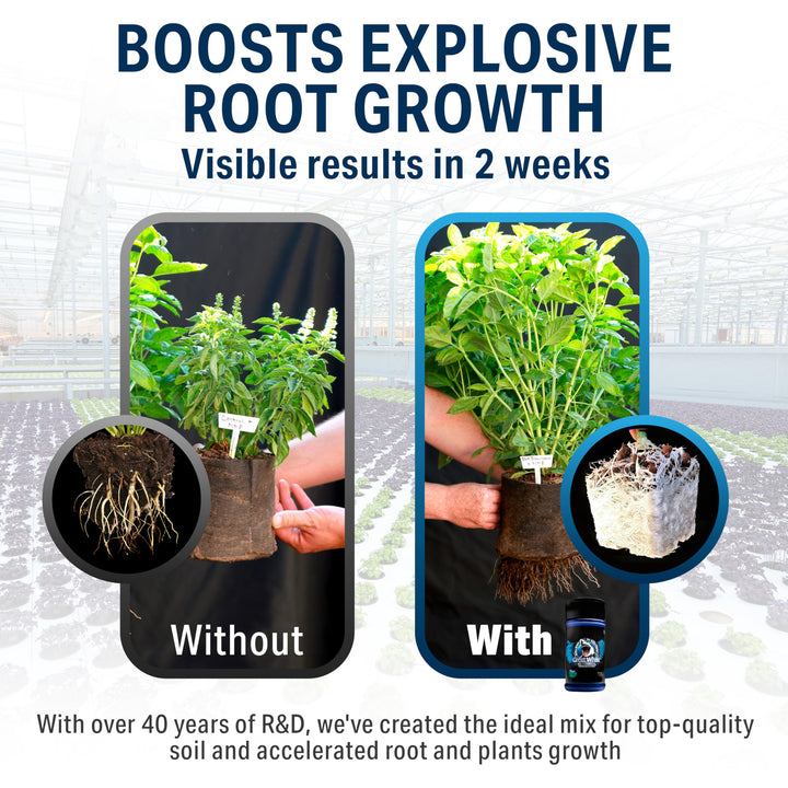 Great White Mycorrhizae, 1 oz.