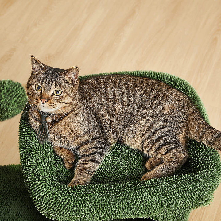 Catinsider 2 in 1 Cat Scratching Post Kitty Condo with Dangling Ball for Small Cats Green