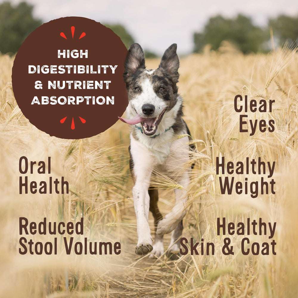 Primal Freeze Dried Raw Dog Food Nuggets, Duck, Complete & Balanced Meal, Also Use as Topper or Treat, Premium, Healthy, Grain Free, High Protein Raw Dog Food, 14 oz
