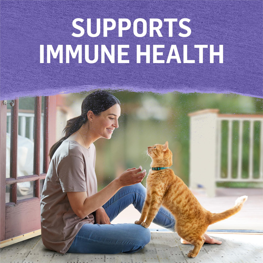Purina Beyond Cage-Free Turkey, Sweet Potato and Spinac
