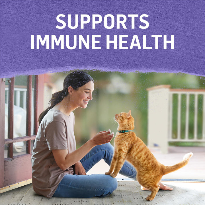 Purina Beyond Cage-Free Turkey, Sweet Potato and Spinac