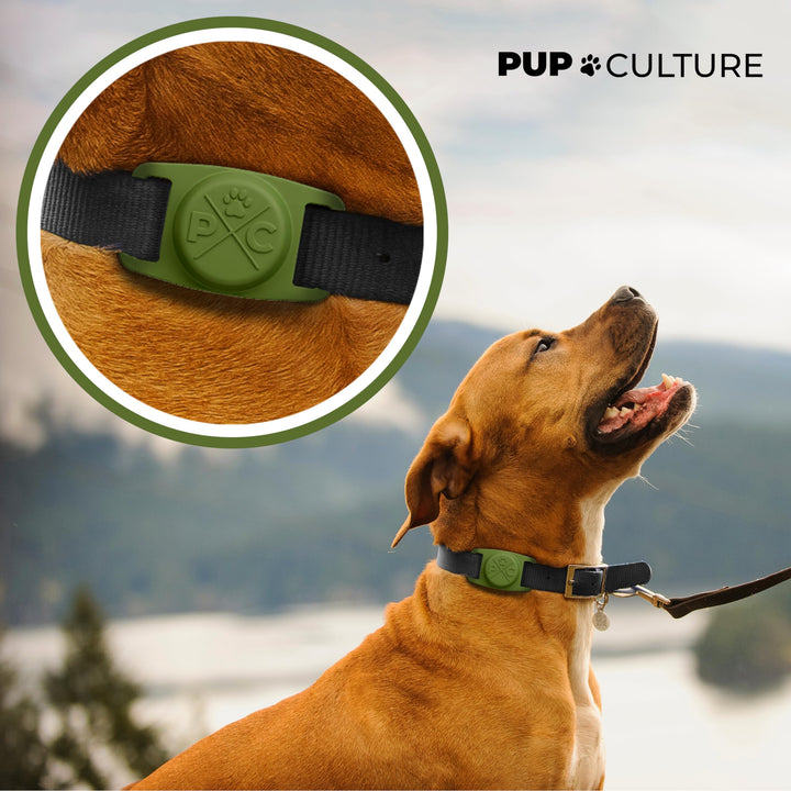 AirTag Dog Collar | Durable &amp; Protective Dog AirTag Holder - Track Your Pet Using Apple AirTag Technology - Dog Collar AirTag Holder -for Dogs and Cats