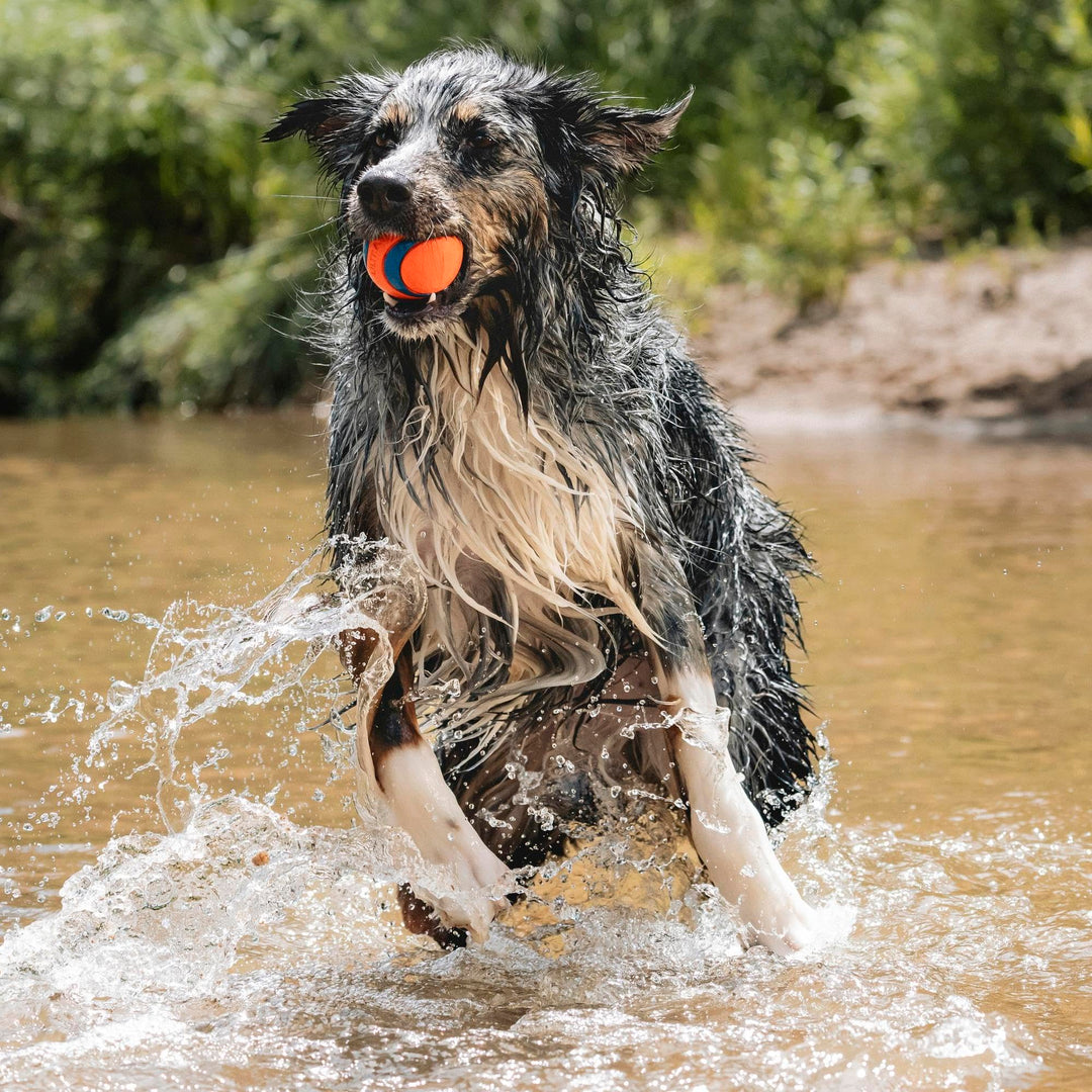 Ultra Ball Dog Toy - Size Large - For Dogs 60-100 lbs - Made from Durable Rubber - Super Bouncy - Floats in Water - 3-inch Diameter - Pack of 1