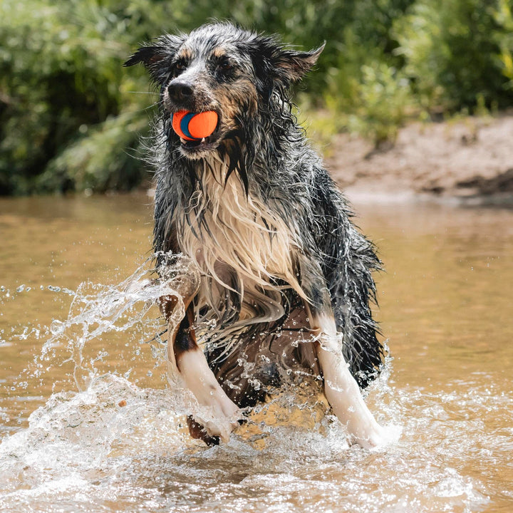 Ultra Ball Dog Toy - Size Large - For Dogs 60-100 lbs - Made from Durable Rubber - Super Bouncy - Floats in Water - 3-inch Diameter - Pack of 1
