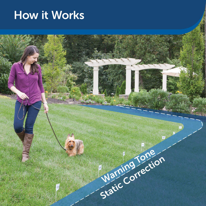 Elite Little Dog In-Ground Pet Fence Receiver Collar - for Dogs Over 5 lb - Waterproof with Tone and Static Stimulation – from The Parent Company of Invisible Fence Brand