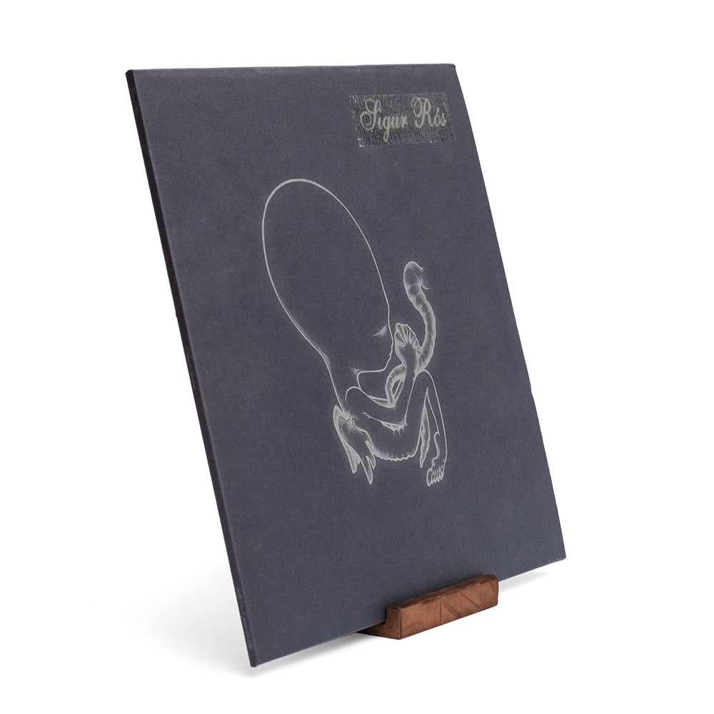 KAIU Premium Vinyl Record Stand - Showcase Your Now Pla