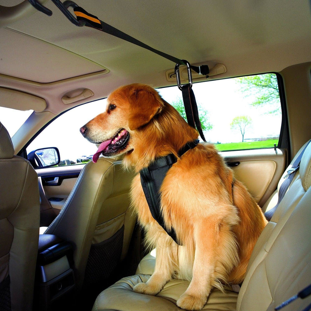 Auto Zipline for Dogs, Adjustable Dog Safety Belt Leash, Pet Seat Belt Tether, Reduce Distracted Driving, Includes Dog Leash & Carabiner Clips, 6 feet