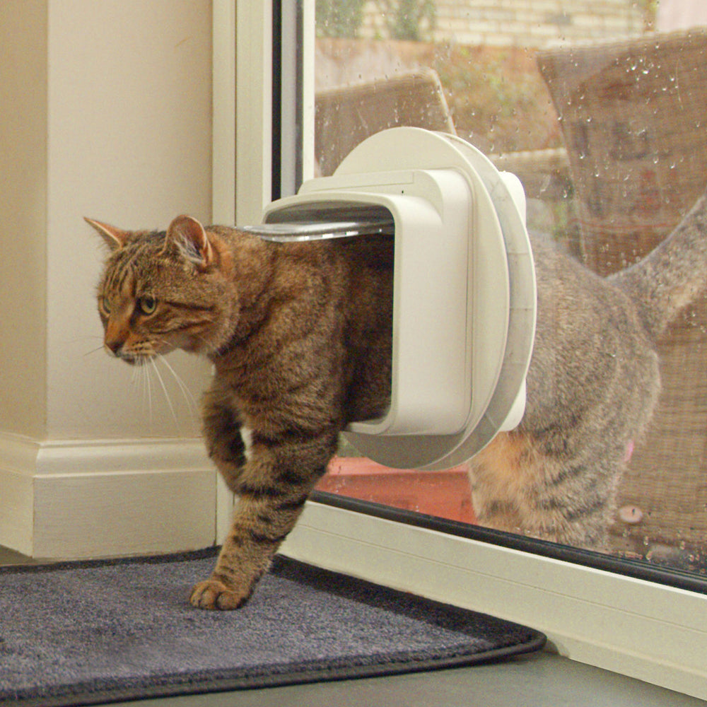 DualScan Microchip Cat Door - Door Opening is 4 3/4 H x 5 5/8 W