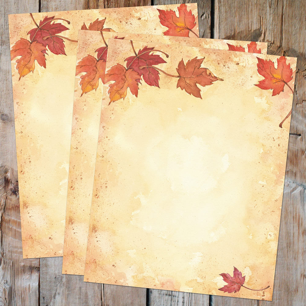 Fall Leaves Letterhead, 25 count, 11x8.5 (2015055)