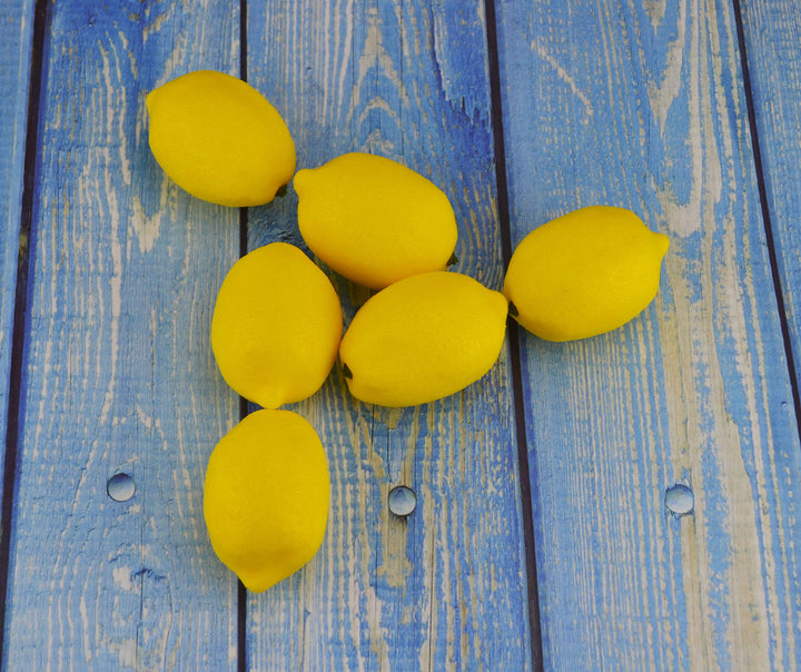JEDFORE Artificial Lemons Simulation Lifelike Small Lem