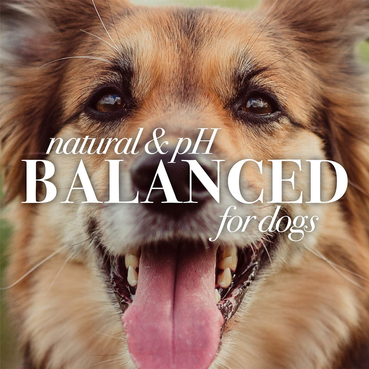 Burt&#39;s Bees for Pets Multipurpose Dog Wipes with with Honey, 98% Natural Origin Formulas, Hypoallergenic Dog Wipes Cleaning, Dog Cleaning Wipes, Dog Wipes for Paws and Butt, 50ct