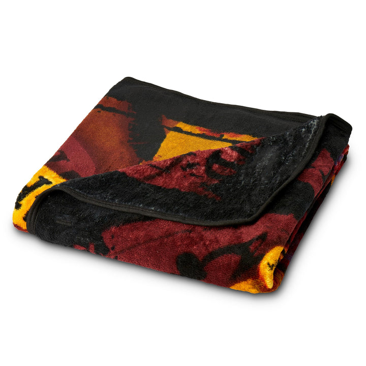 Northwest Harry Potter Micro Raschel Throw Blanket, 46 