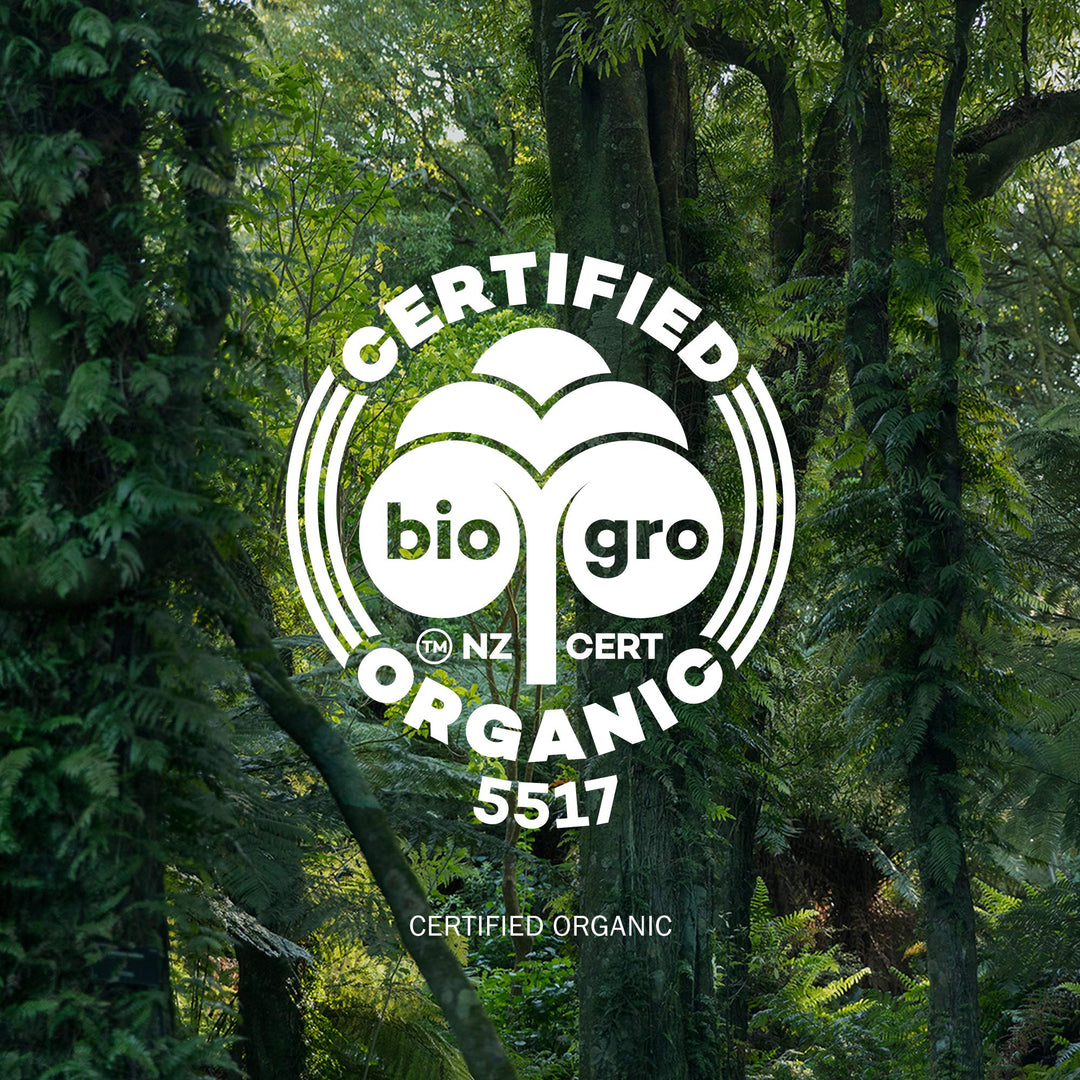 Hosanna H20 Intensive Skin-plumping Serum