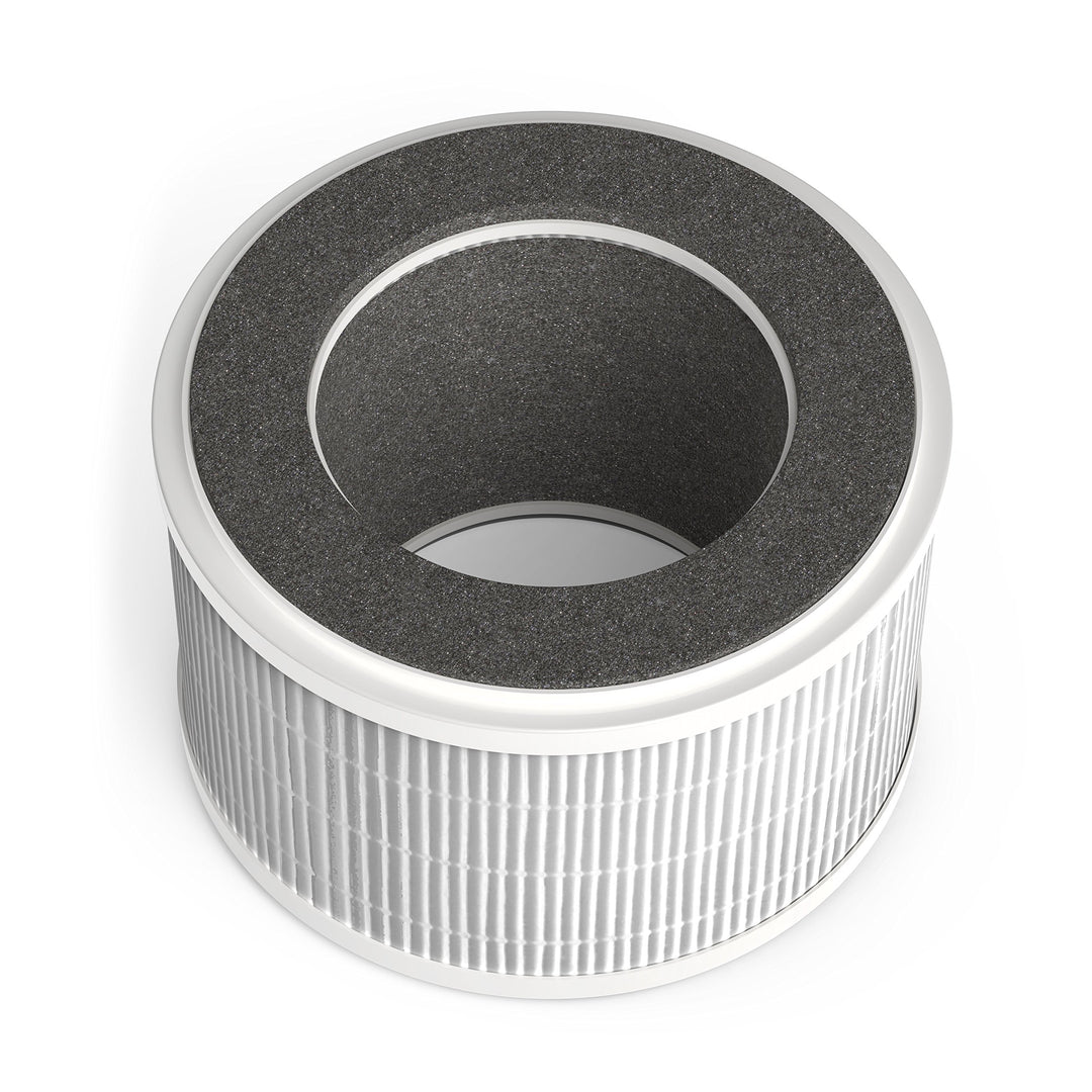 hOmeLabs HEPA Filter Replacement - Fits HME020020N hOme