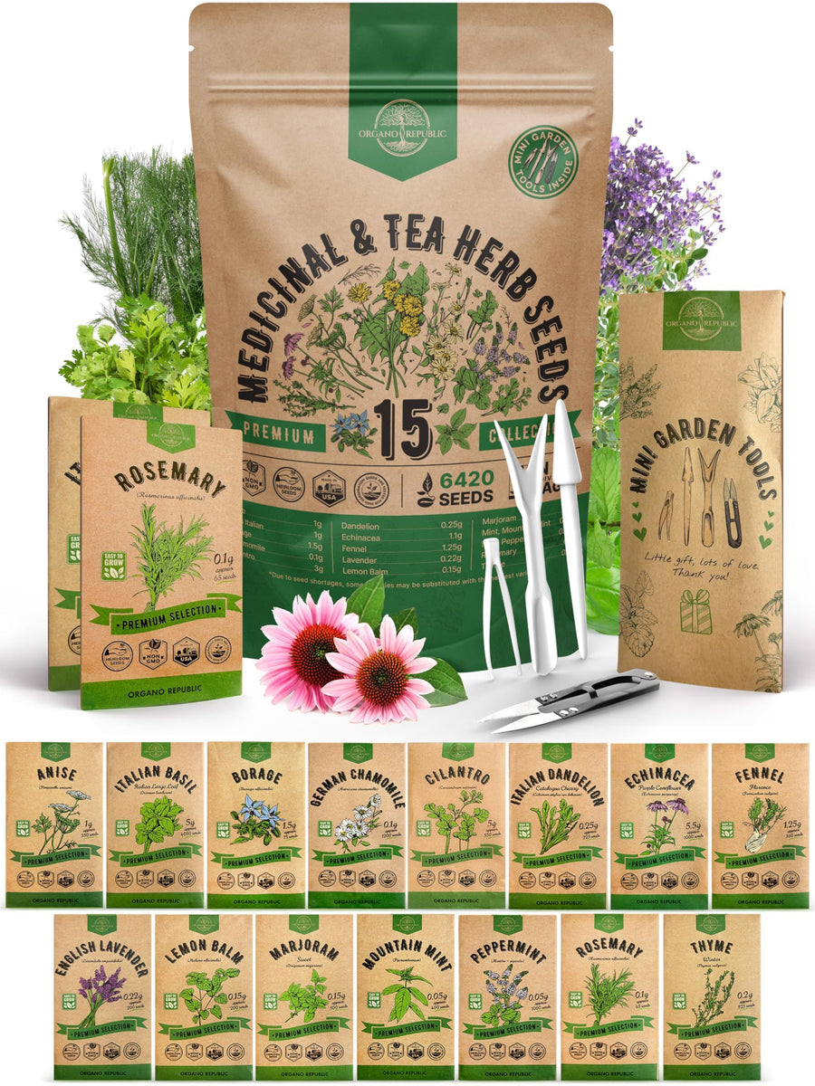 15 Medicinal & Tea Herb Seeds Variety Pack 6,420+ Non-GMO Heirloom Garden Seeds for Indoor & Outdoors, Including Anise, Borage, Cilantro, Chamomile, Dandelion, Rosemary Seeds