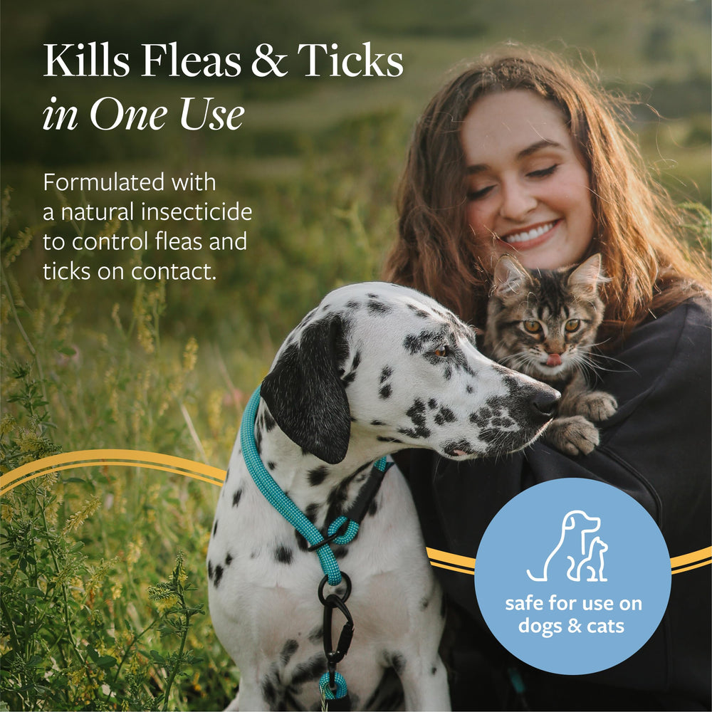 Flea and Tick Shampoo for Dogs and Cats, 16 oz
