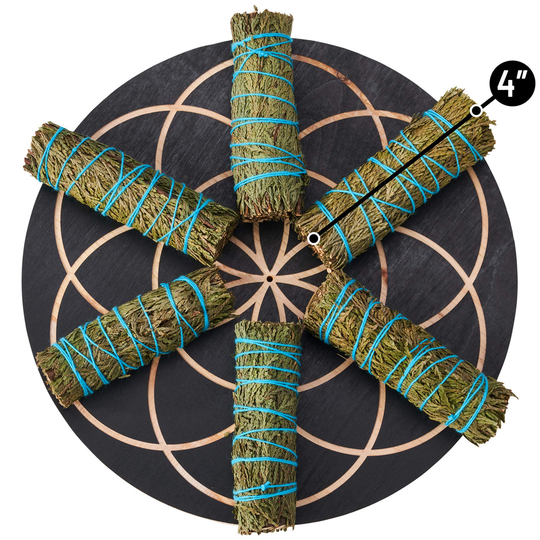 6 Pack Cedar Smudge Sticks - Hand Made, Grown Naturally and Sustainably - for Smoke Cleanse, Smudging, Smudge Kits, Home or Office Purification