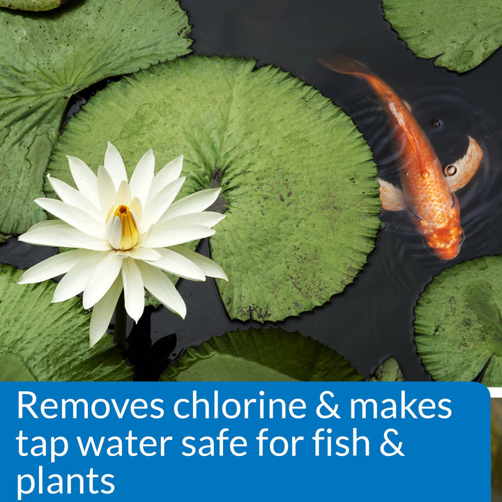POND CHLORINE &amp; HEAVY METAL NEUTRALIZER Pond Water Neutralizer 32-Ounce Bottle