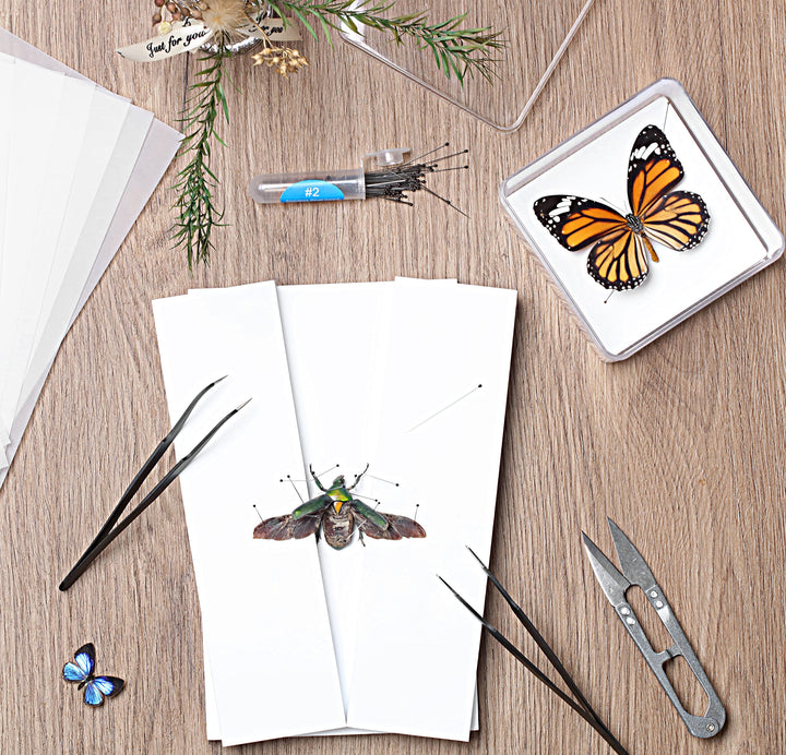 Making Insect Specimen Tools Kit, with Insect Pins,Insect Pinning Board, Wings Pressing Paper,Tweezers, Scissors, Insect Display Case, Insect Collection for Bug Hobbyist/Biology Projects