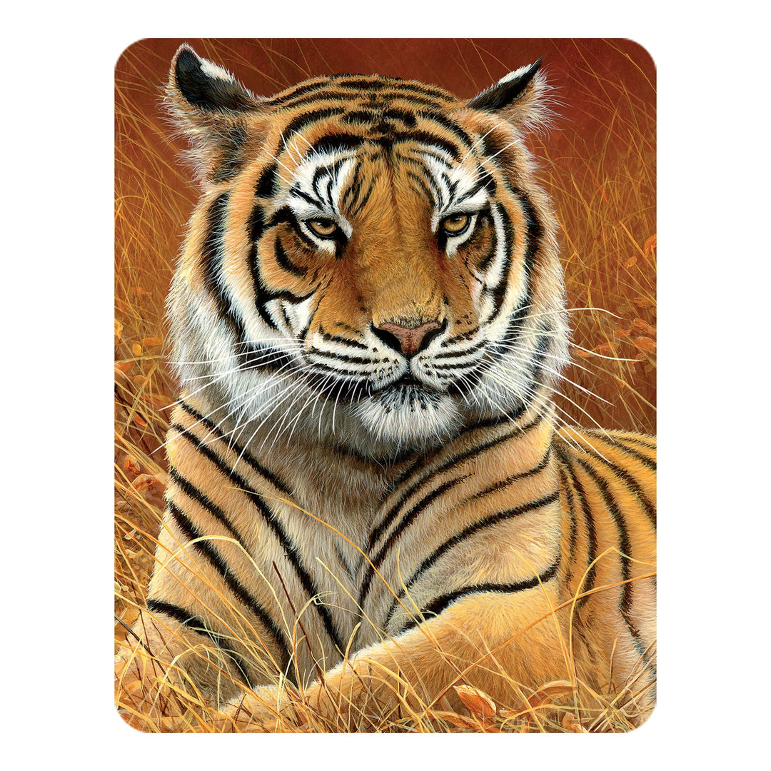 Magnet - Aloof from Deluxebase. Lenticular 3D Tiger Fridge Magnet. Magnetic Decor for Kids and Adults with Artwork Licensed from Renowned Artist, Jeremy Paul