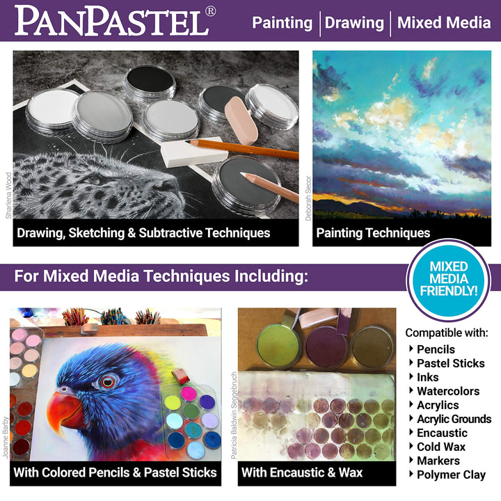Painting Set by PanPastel, 10 Color, Includes Sofft Too
