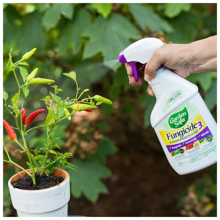 Fungicide, Prevents Fungal Diseases, Controls Black Spot, Rust and Powdery Mildew, Aphids, Whiteflies, Spider Mites, (RTU Spray) 24 fl Ounce