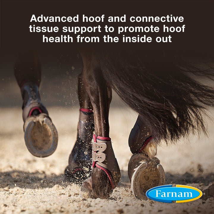 Farnam Horseshoer's Secret Extra Strength Hoof Supplements & Connective Tissue Supplement, Promotes Strong, Healthy Hooves, Tendon & ligaments, 7.5 lbs, 60 Day Supply