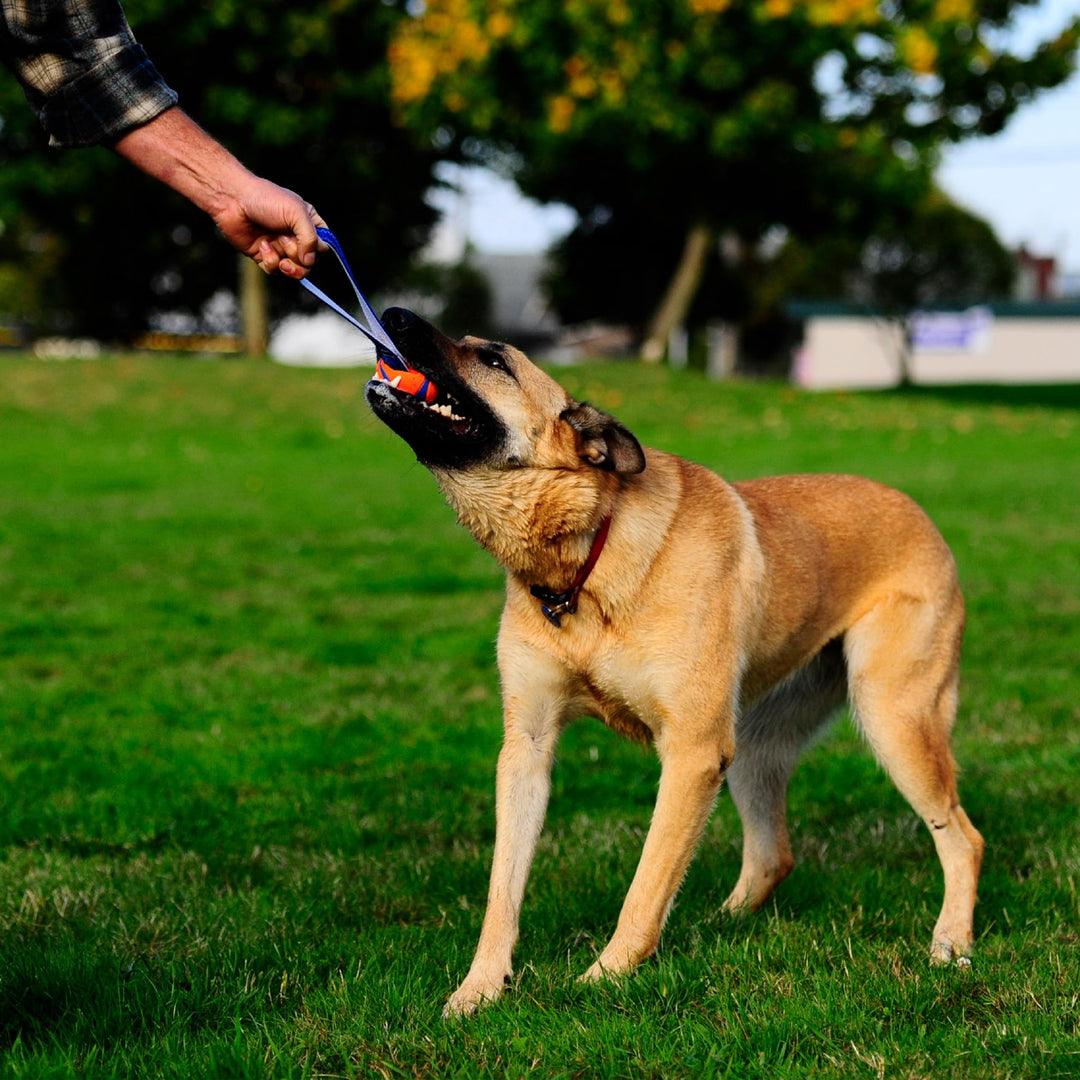Ultra Tug Dog Toy, Medium Fetch and Dog Ball Tug Toy for Dogs 20-60 Pounds