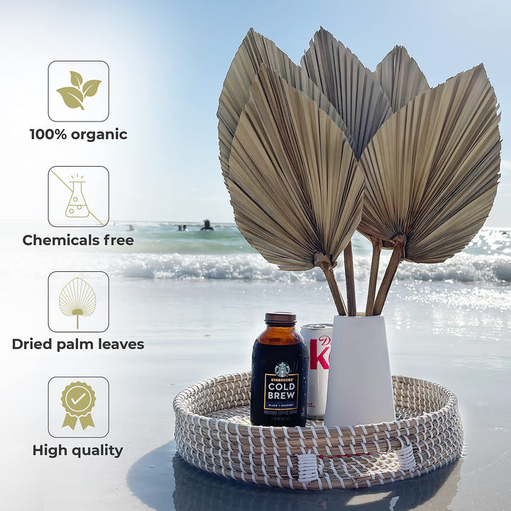 5Pcs 18 H x 6.5 W Trimmed Dried Palm Leaves, Dried Palm Spear, Boho Wedding Decor, Hawaiian Luau Party Table Decoration, Dried Wedding Flowers