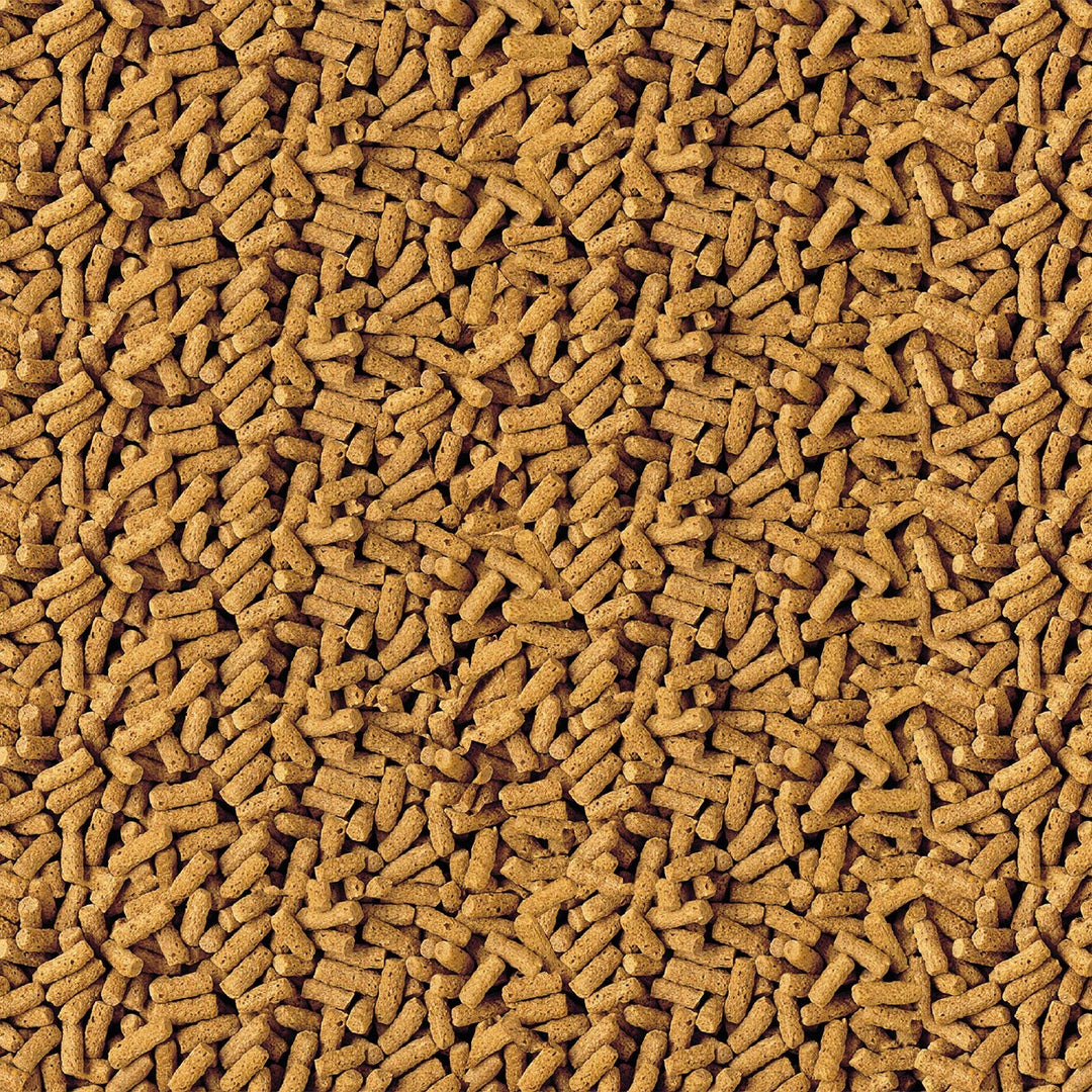 Pond Pond Sticks 2.65 Pounds, Pond Fish Food, For Goldfish And Koi, 16357, 2.53 Pounds