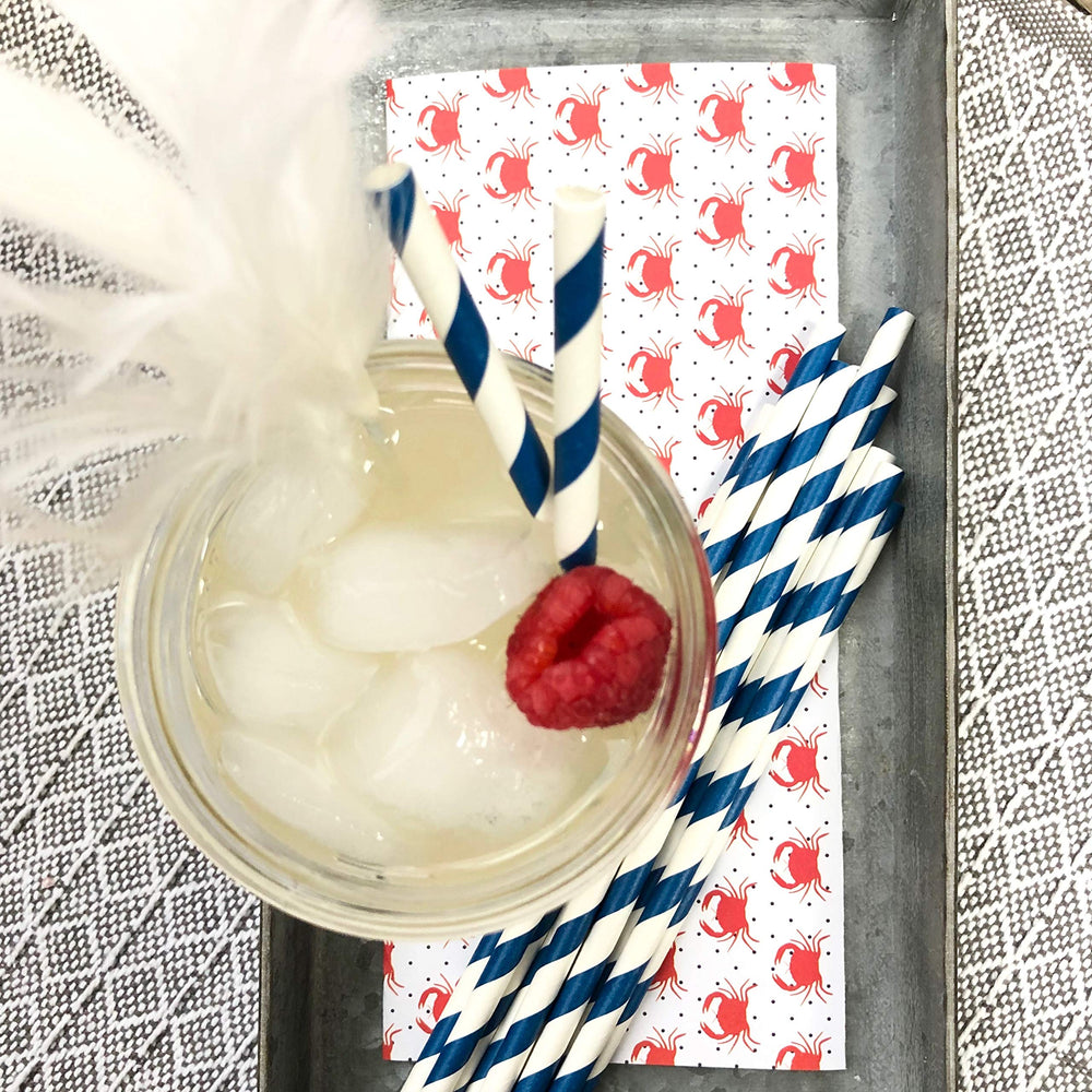 Navy Blue Stripe Paper Straws - 100 Pack