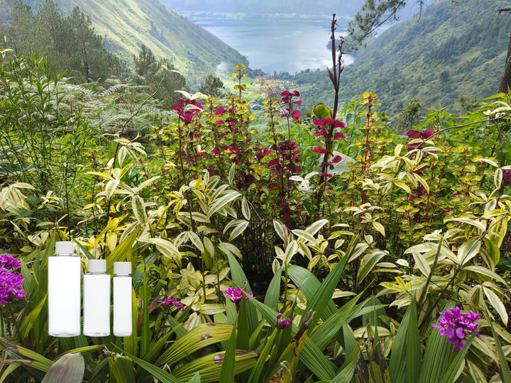 Refillable Bottles (Plastic Screw-Top 3pack 4oz-2oz-1oz)