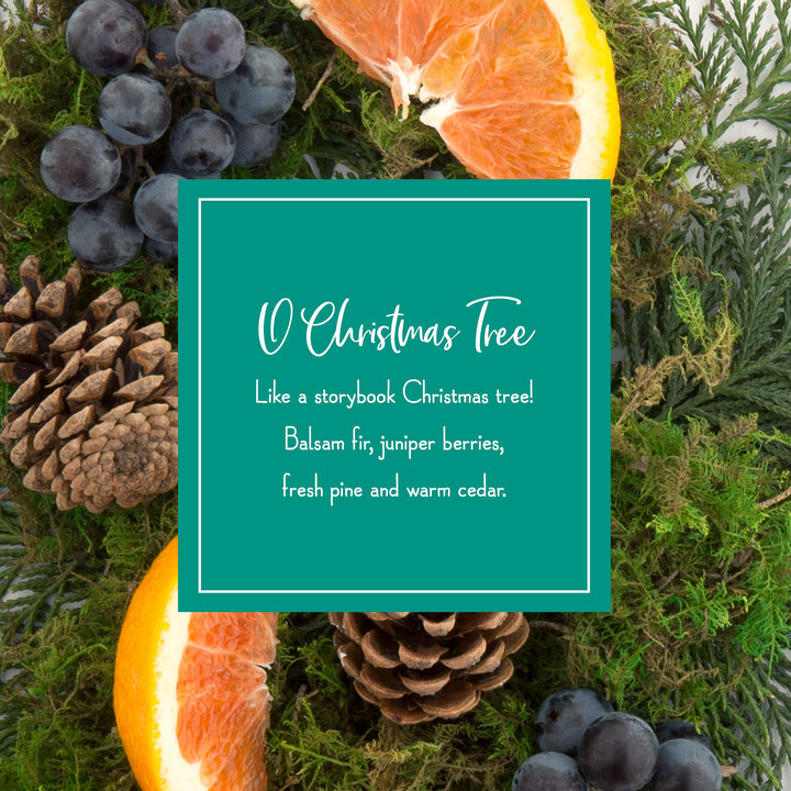 O Christmas Tree Bottle Bundle, Model:01631-001T