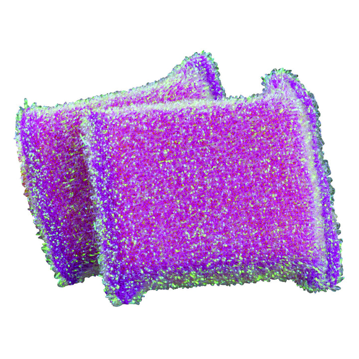 Casabella Sparkle Scrub Sponge, 2-Pack, Colors vary bet