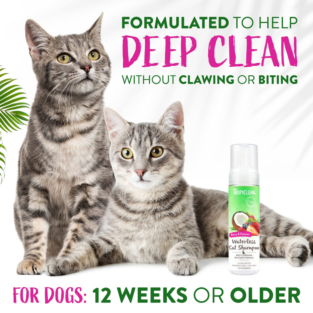 Berry Coconut Waterless Cat Shampoo | Deep Cleansing Dry Shampoo for Cats | Natural Cat Shampoo Derived from Natural Ingredients | Made in The USA | 7.4 oz.