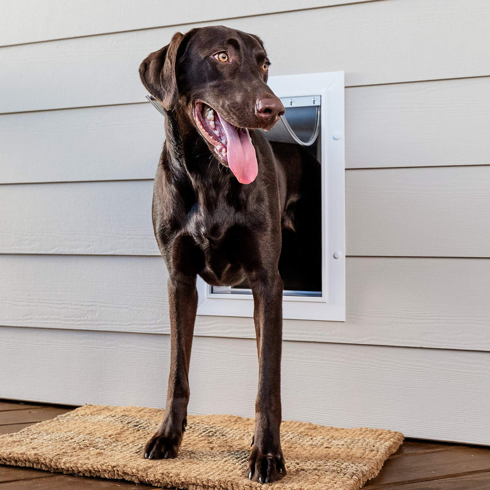 Never Rust Wall Entry Pet Door - Telescoping Frame - Insulates Better Than Metal, Energy Efficient - Interior & Exterior Walls, Weatherproof, Easy to Install & Clean (White - Large)