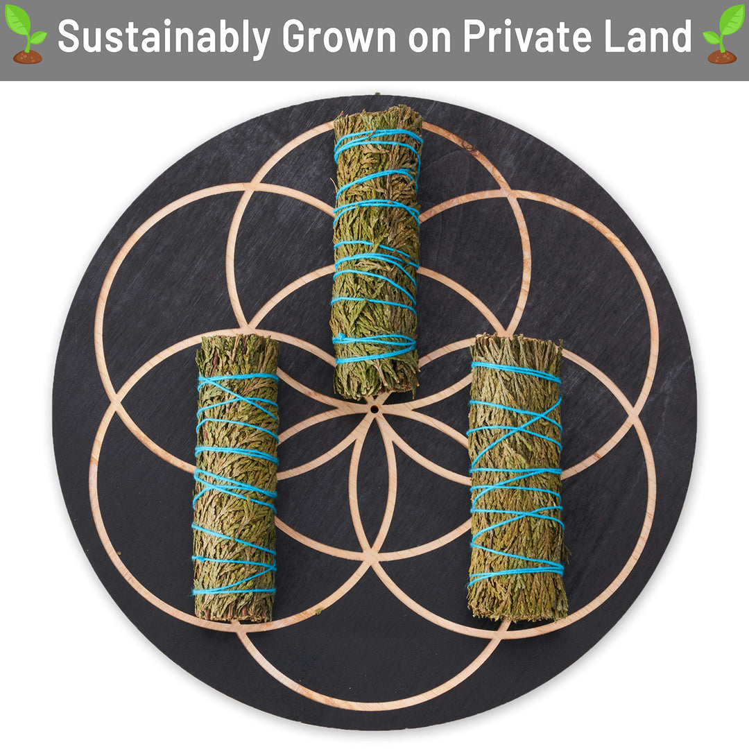 6 Pack Cedar Smudge Sticks - Hand Made, Grown Naturally and Sustainably - for Smoke Cleanse, Smudging, Smudge Kits, Home or Office Purification