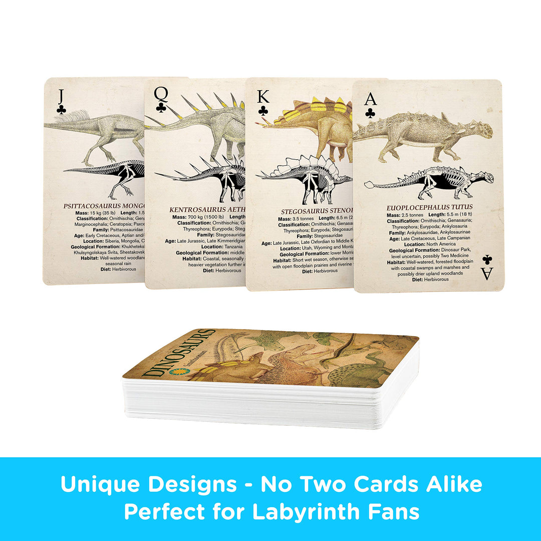 AQUARIUS Smithsonian Playing Cards - Themed Deck of Car