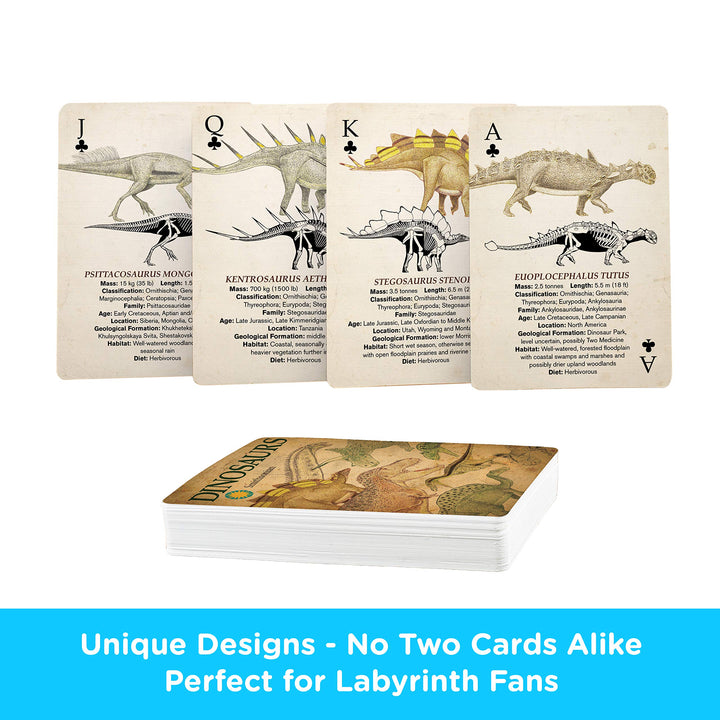 AQUARIUS Smithsonian Playing Cards - Themed Deck of Car