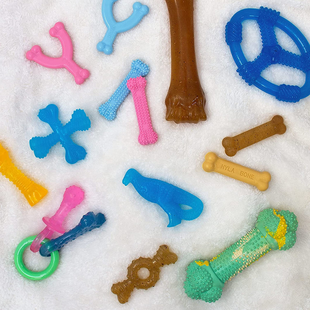 Ring Bone Chew Toy for Puppies, Puppy Teething Toys, Chicken Flavor, Medium - Up to 35 Ibs, 1 Count