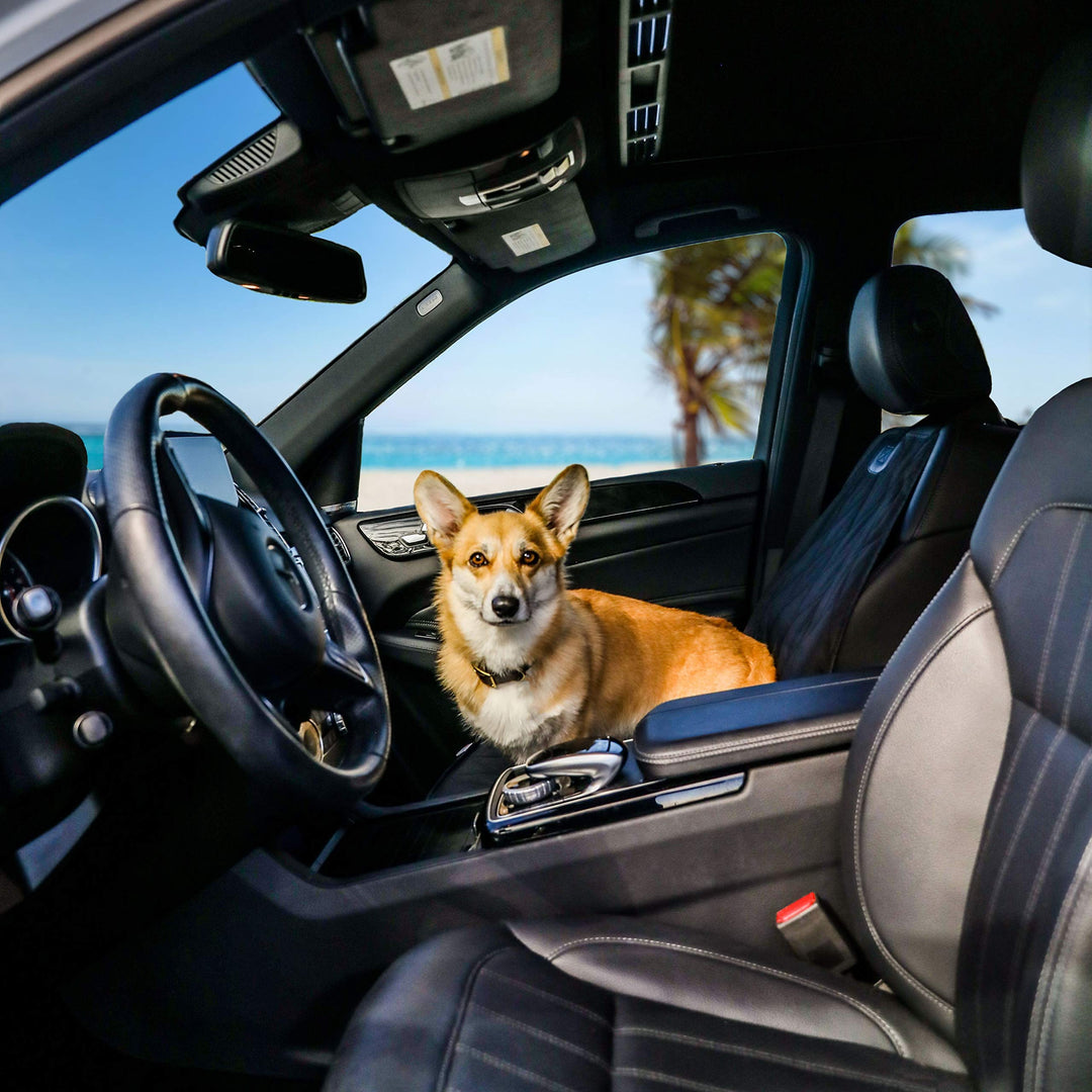 Pet Padded Scratchproof Front Seat Cover with Seat Anchor for Cars, Trucks, &amp; SUVs, Water Resistant, Machine Washable &amp; Non-Slip - Quilted Black
