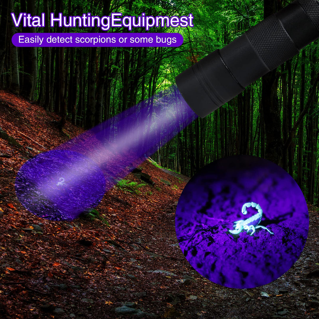 Black Light Flashlight, 2 Pack 12 LED UV Blacklight Flashlight, 395nm Handheld Mini Torch Light, Professional Urine Detector for Dog Pet Urine Stains, Bed Bugs and Scorpions.