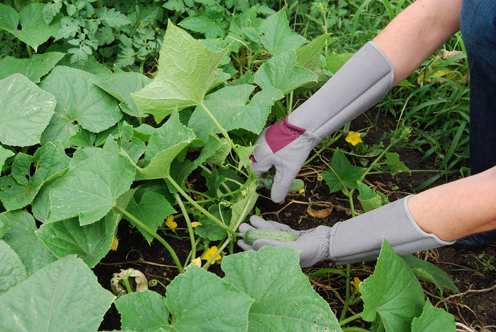 MAGID HandMaster Professional Rose Pruning Gloves, 144 Pairs, Size 9/Large, BE194T