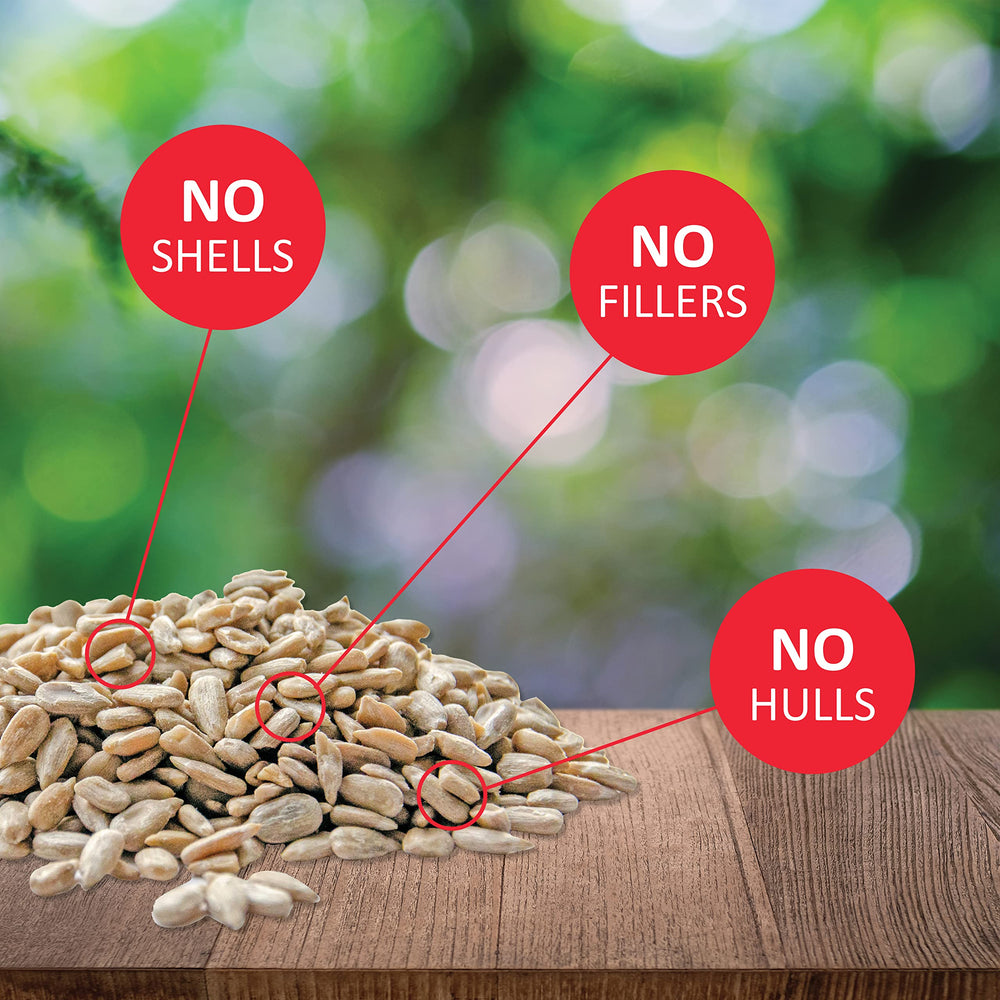Sunflower Kernels Wild Bird Seed No Waste Bird Food Attracts Finches & More 5 lb. bag