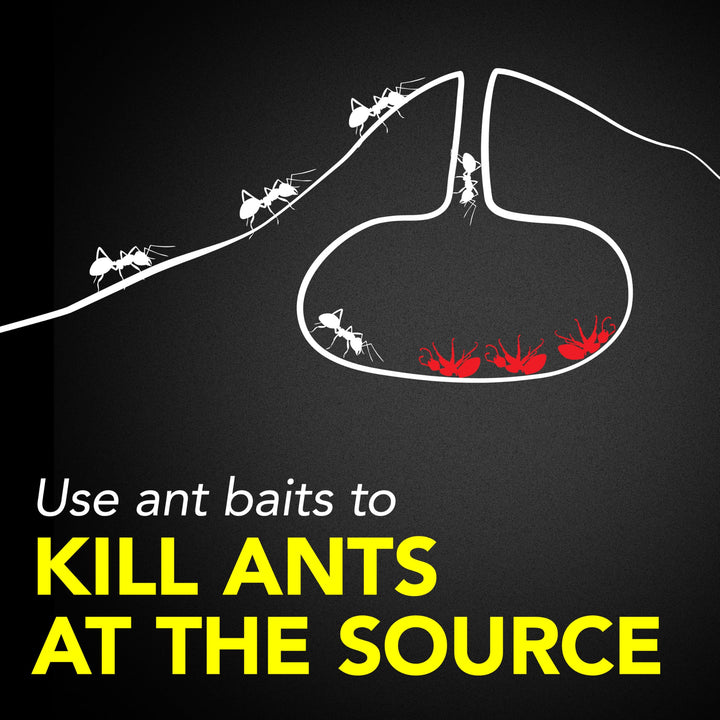Raid Ant Killer Baits, Child Resistant Bug Killer for I
