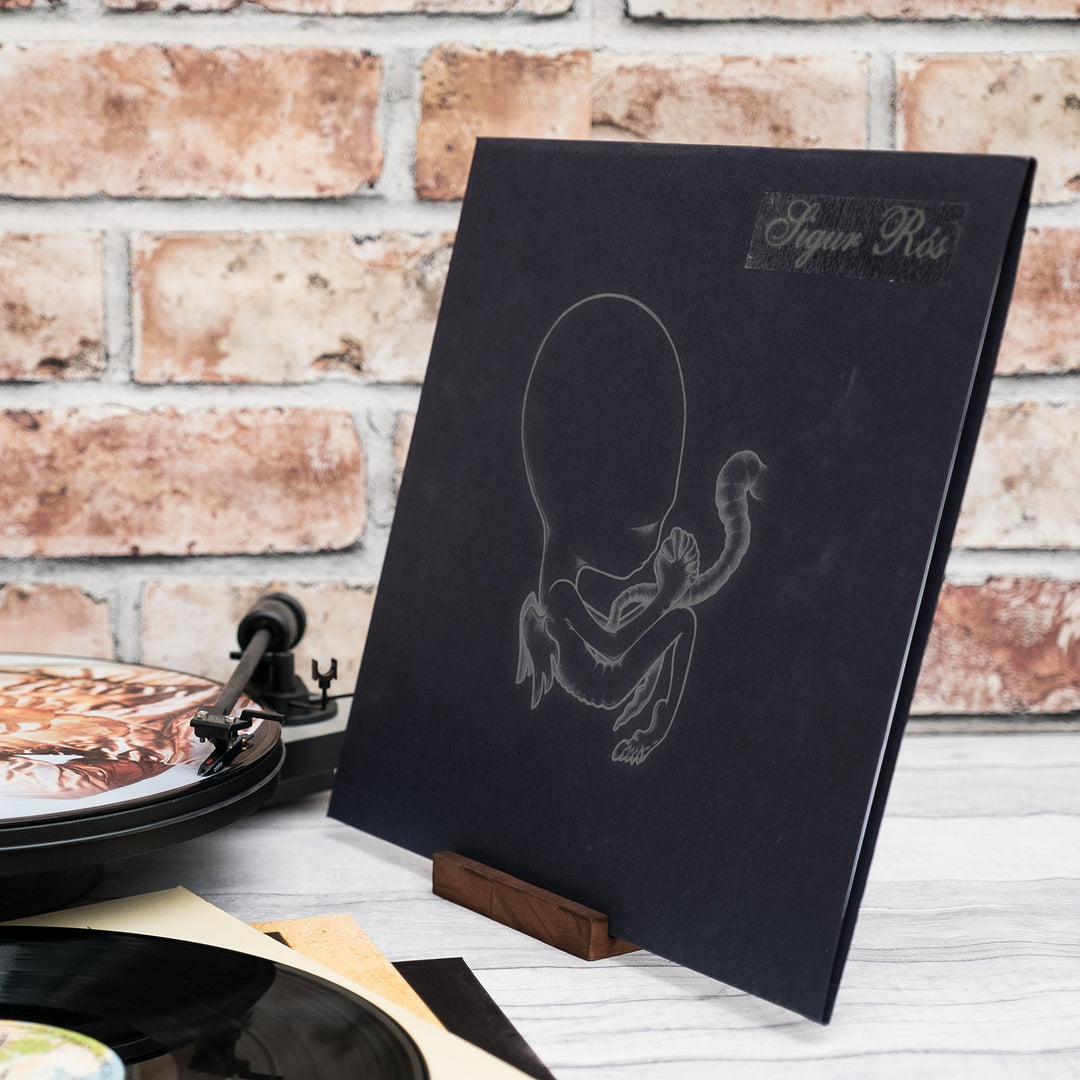 KAIU Premium Vinyl Record Stand - Showcase Your Now Pla