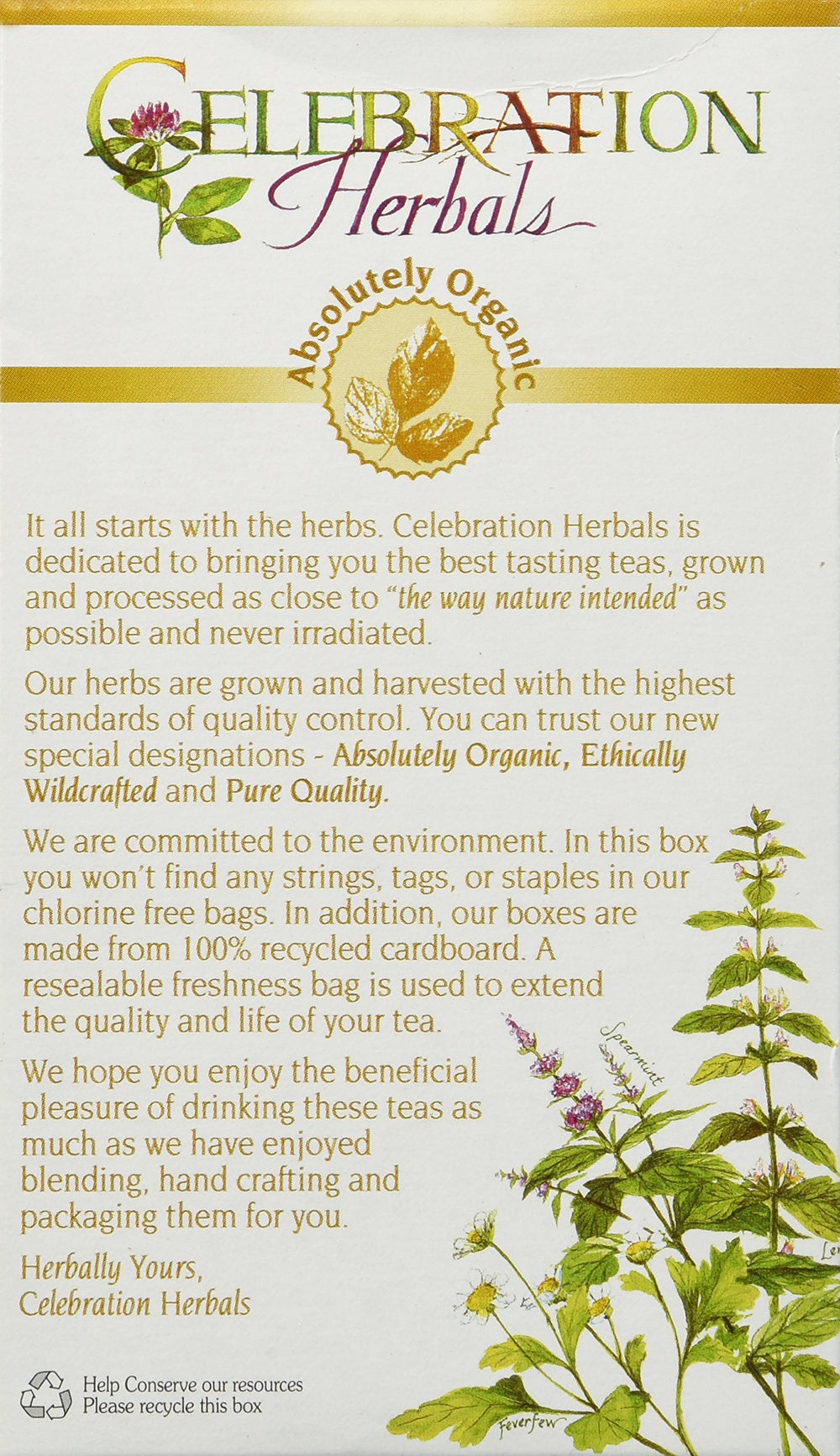 24 : Organic Elderberries Herbal Tea Caffeine Free - 24 Tea Bags