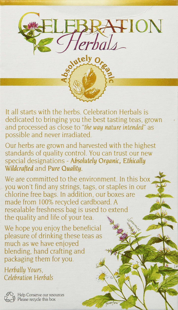 24 : Organic Elderberries Herbal Tea Caffeine Free - 24 Tea Bags