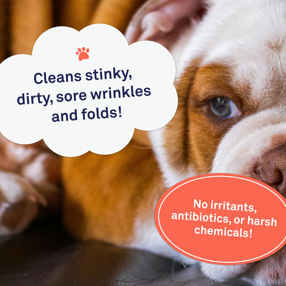 | Bulldog Wrinkle Wipes for Dogs - 100 Wipes - Cleans & Soothes Wrinkles and Pug Folds with Coconut Oil Solution 100 ct.