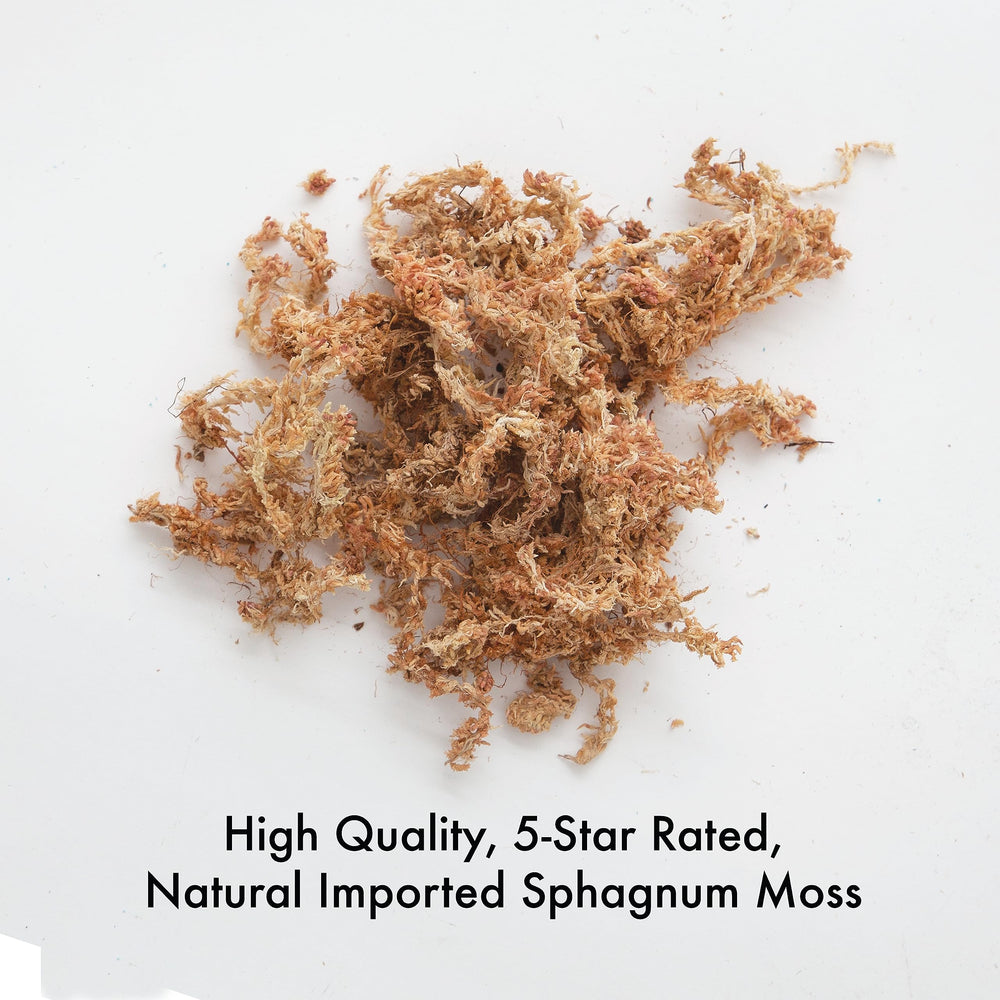50450 Premium Grade Moss-100% Natural for Orchids, Ferns, and Hostas, Excellent for Hanging Baskets and Propagating Plants Sphagnum Moss, 190 cu. in, Tan